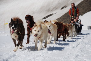 Camp Suisse Session 3 2016; Glacier 3000; Dog sledding